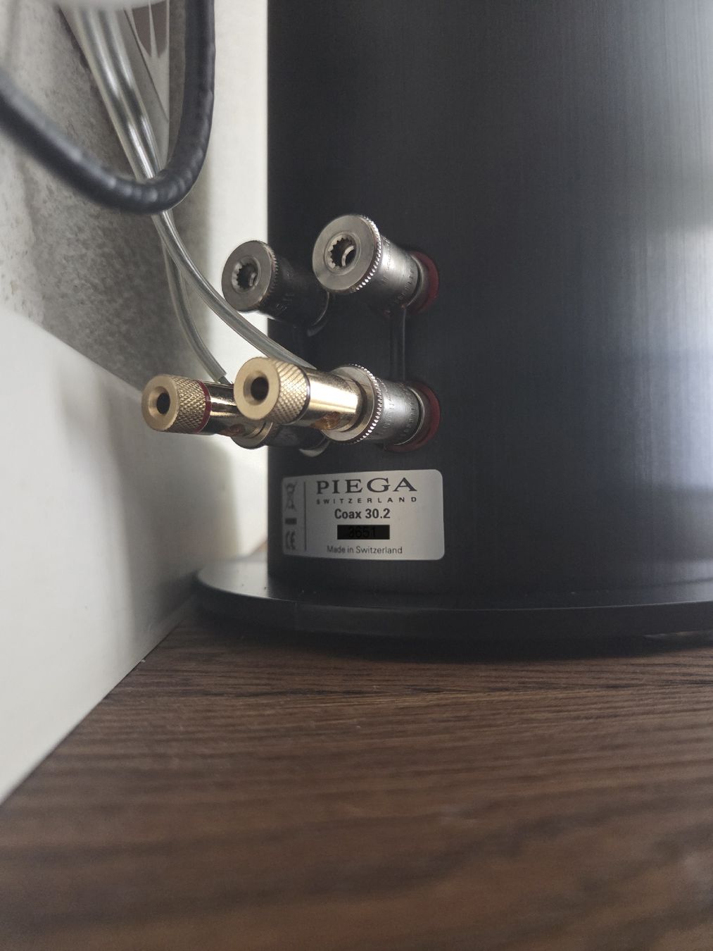 Piega Lautsprecher: Piega Coax 30.2 – Gebraucht aus Rickenbach-Sulz von Bacardibabe 4