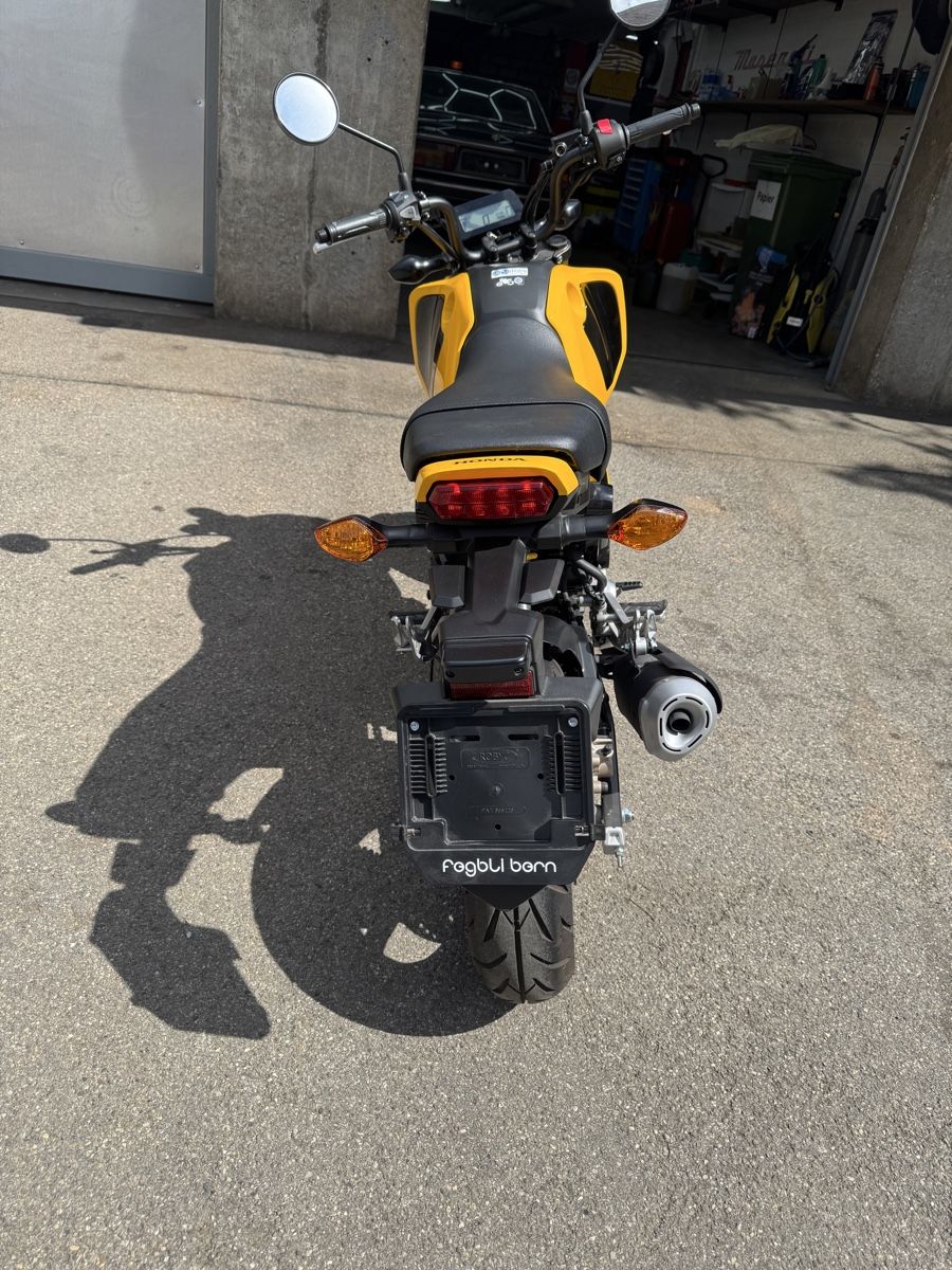 Honda Strada: Honda  MSX 125 – Nuovo (secondo la descrizione) da Münsingen venduto da FerrariF355 9