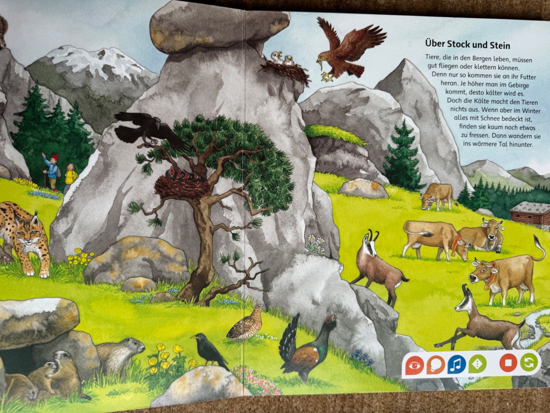 Libri: Tiptoi - Bilderlexikon Tiere – Usato da Aarau venduto da Kilauea 3