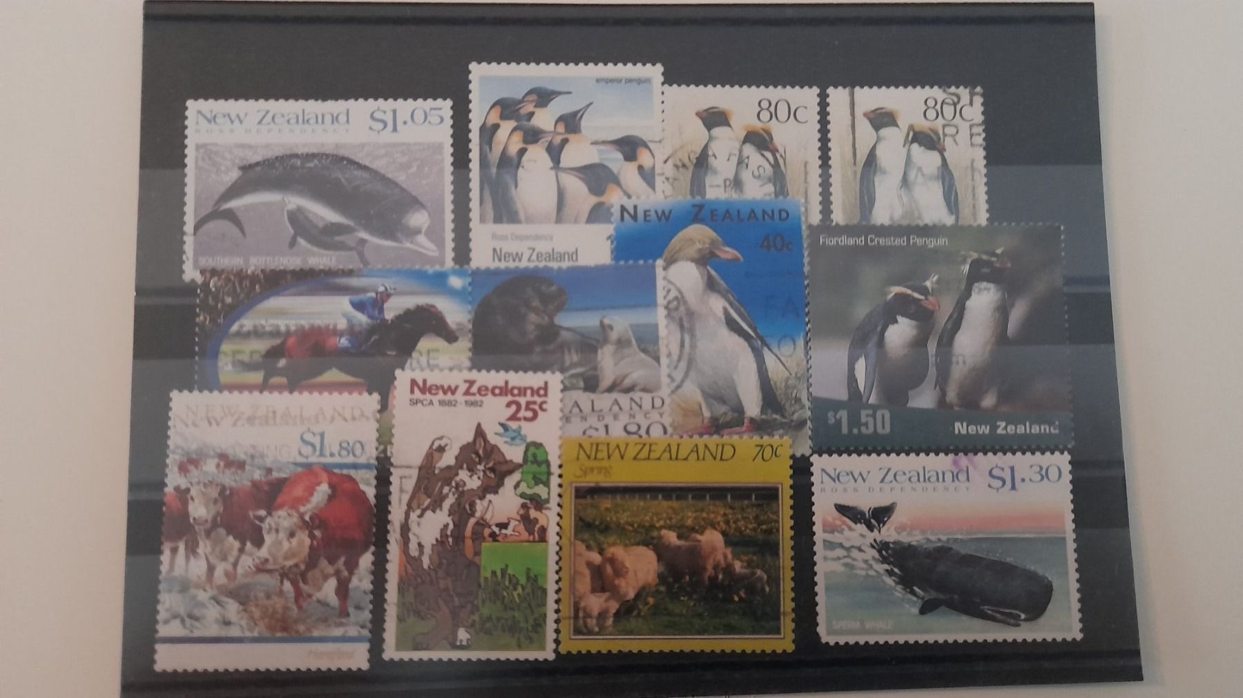 Tutti i francobolli: New Zealand – Usato da Balgach venduto da SIMEON27