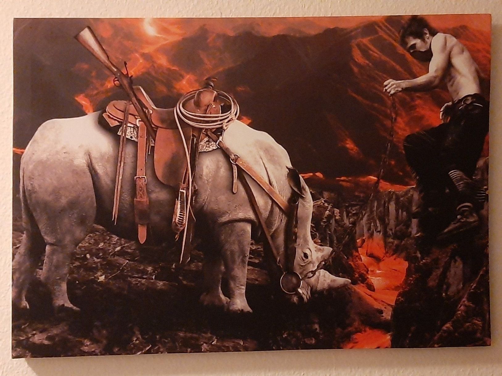 Poster & Bilder: LED Kunst BILD Nashorn und Mann 3D – Neu und originalverpackt aus Kilchberg ZH von ruedi34 1