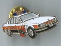 Polizei Auto Bern, Pin