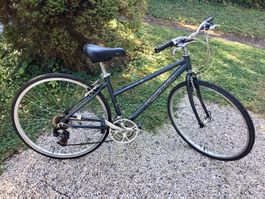 Vélo RIDGEBACK VELOCITY 🇬🇧 Citybike & Roadbike pour Dame