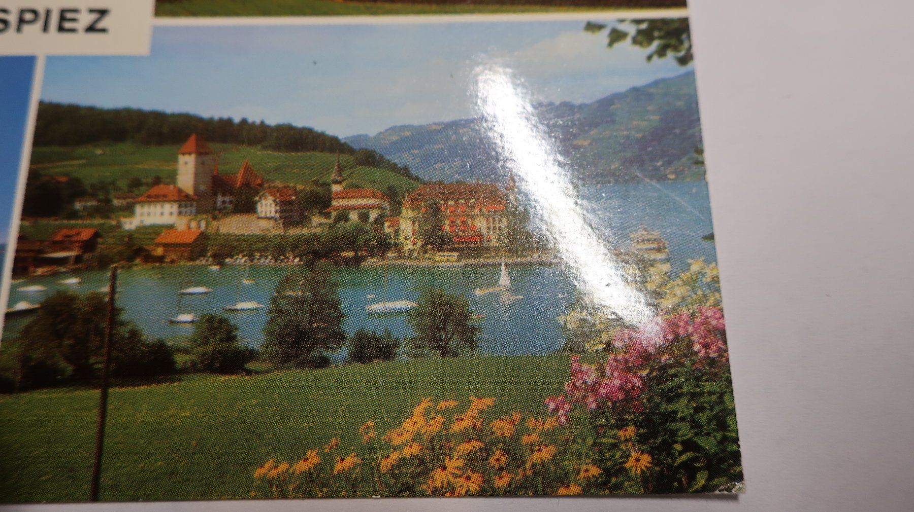 Cartes postales: Spiez   am Thunersee Lac de Thoune Multivues – D'occasion à Cormoret par Pascalll2001 2