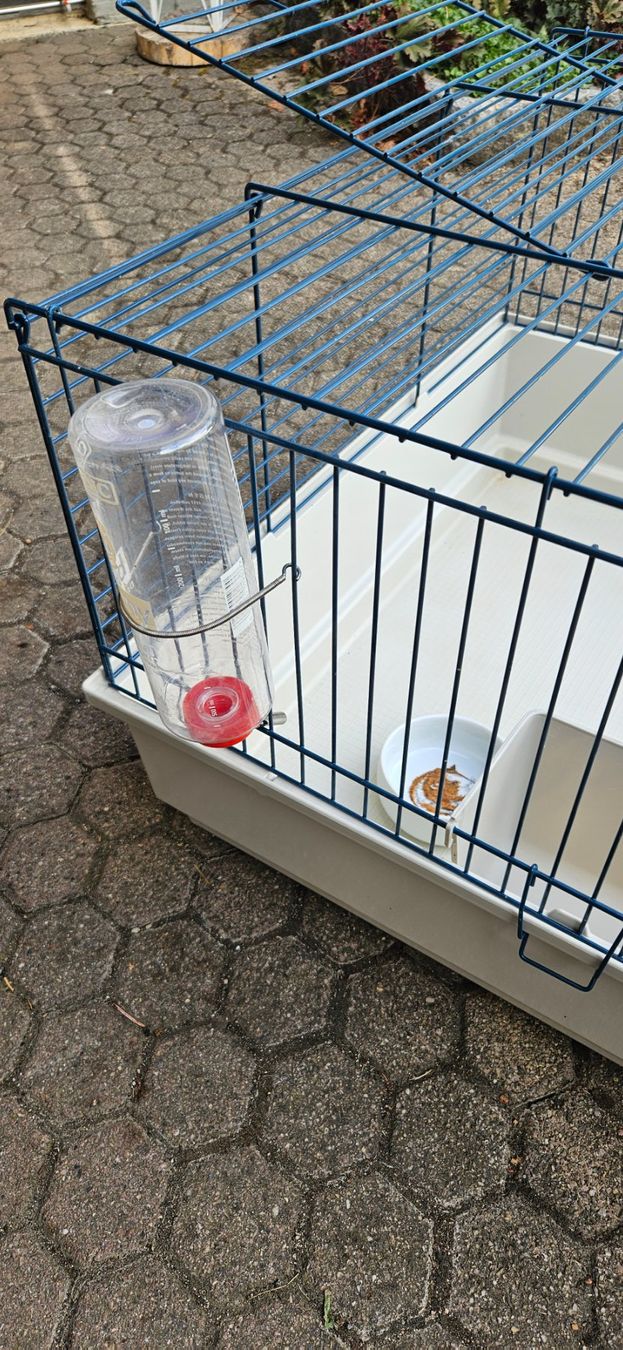 Cages, transport & sécurité: Meerschweinchenkäfig – D'occasion à Oltingen par Jo76 3