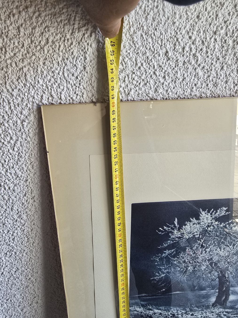 Foto & Immagini: Original Radierung "Verschneiter Baum" – Usato da Winterthur venduto da UmzugsFundgrube 4