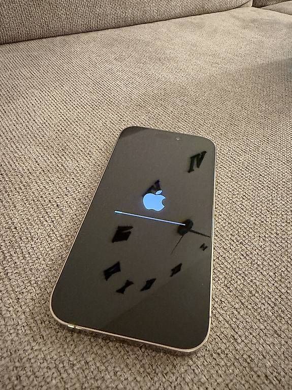 Telefoni cellulari / Smartphones: iPhone 14 Pro 256 GB Gold  – Usato da Schaffhausen venduto da Z5S 1