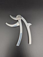 ODIN Cracky Design Nussknacker Dino Metall