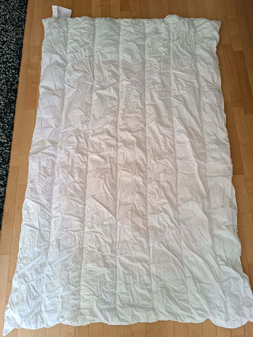 Coperte: Bettdecke 135/140x200 – Usato da Binz venduto da julijuli