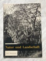Natur und Landschaft Bienenweide
