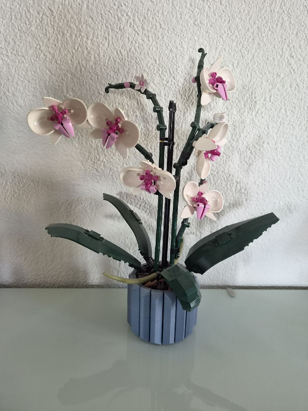 Lego Spielzeuge: LEGO Botanical Collection Orchidee 10311  – Gebraucht aus Höri von Mai_L 1