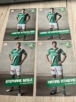FCSG Spieler Karten Saison 2013/14 4 Stück