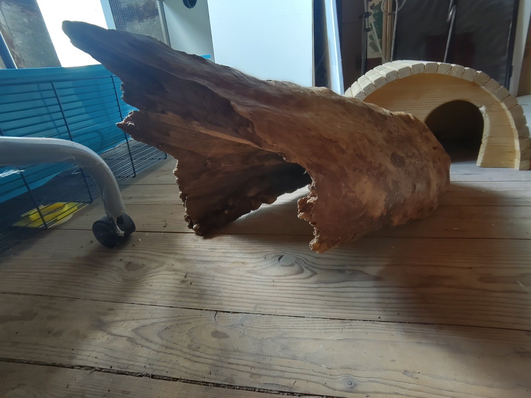 Articoli in legno: Nagetierhäuschen – Usato da Wagenhausen venduto da sar_jz98 9