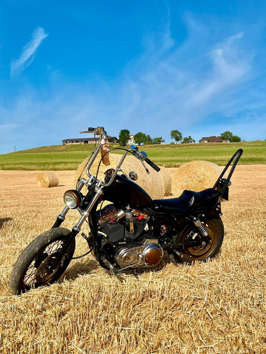 Harley-Davidson Chopper: HARLEY DAVIDSON XL 1200 C – Gebraucht aus fribourg von vak_kr6q