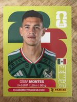 Panini MEX 5