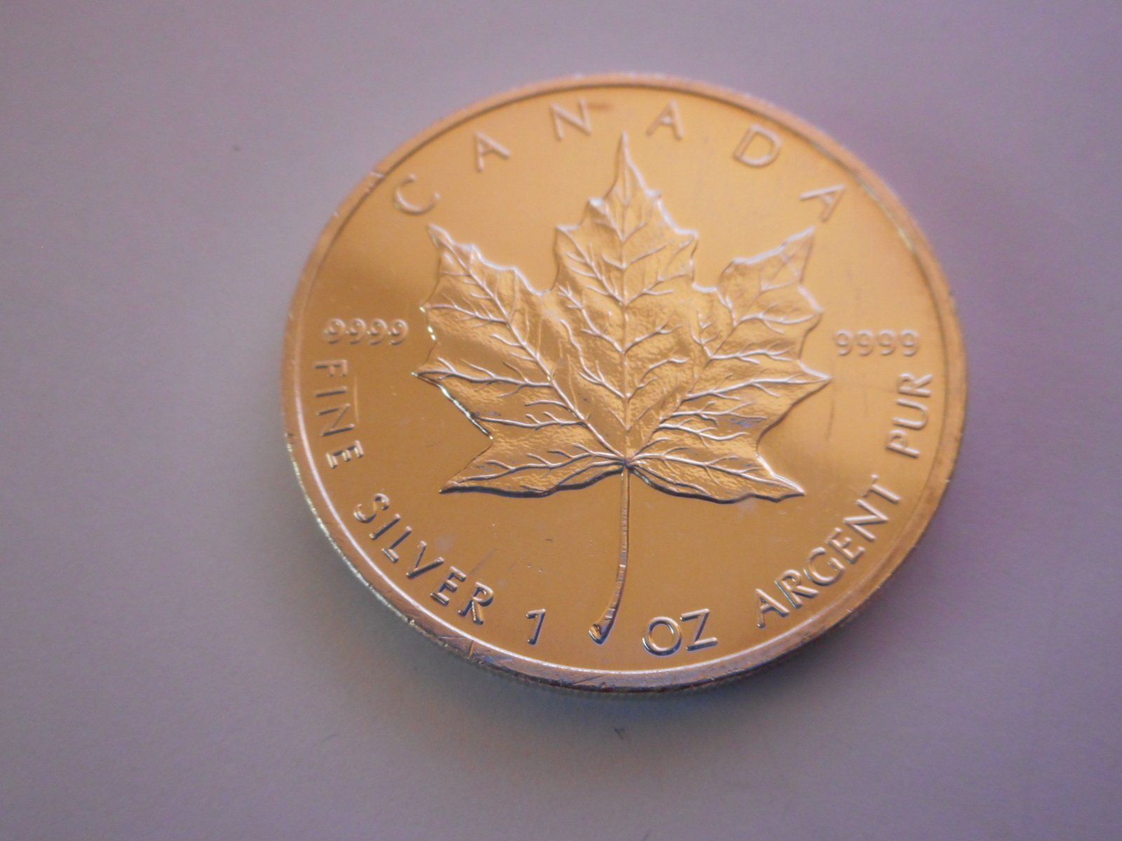 Tutti le monete: 1991 5 Dollars silber 1 unze Canada – Nuovo (secondo la descrizione) da Kriegstetten venduto da pizlad2010 3
