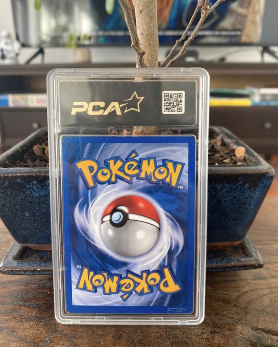 Pokémon Carte collezionabili: Pokémon Suicune Neo PCA9 carte – Nuovo (secondo la descrizione) da Gland venduto da Grenier_Swiss 1