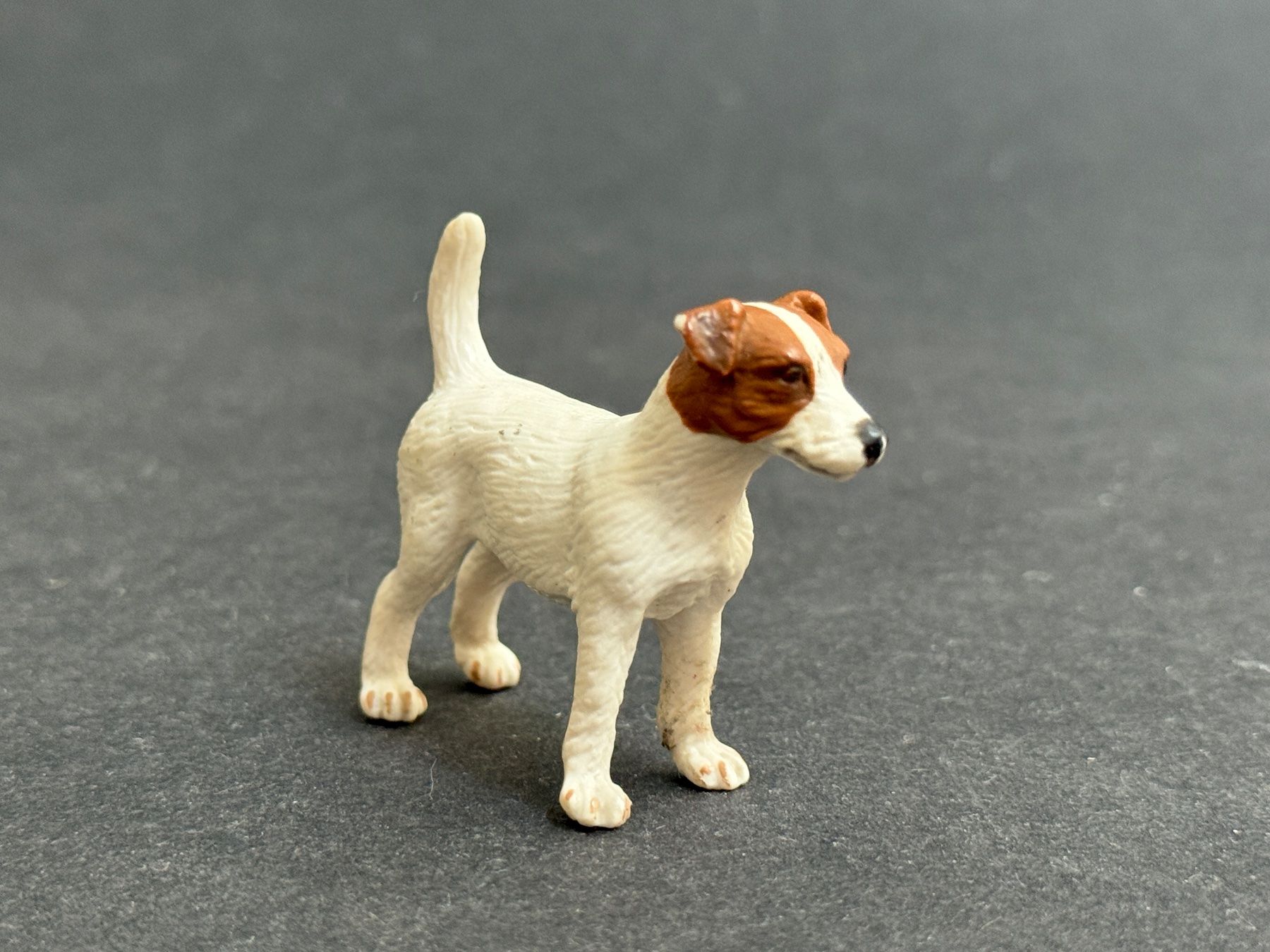 Schleich Statuette: Schleich 16331 - Jack Russel Hund – Usato da Ennetbaden venduto da mapa05 5