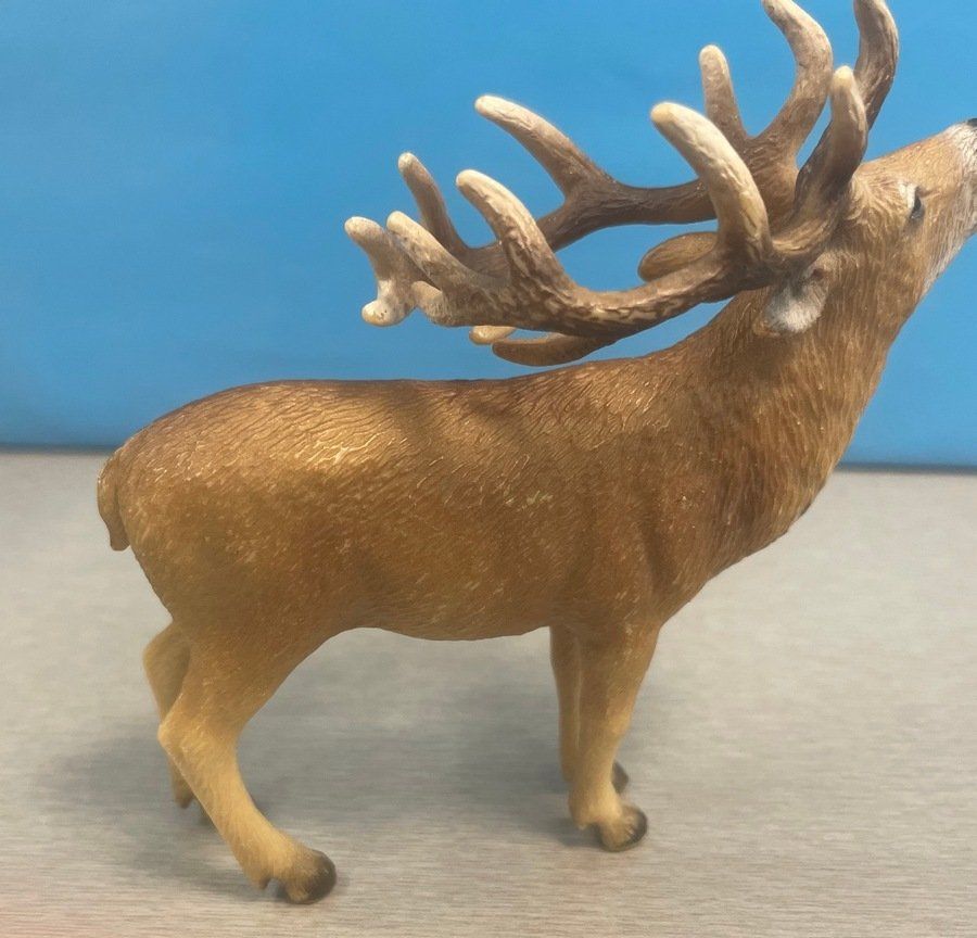 Schleich Spielzeuge: Schleich Hirsch – Gebraucht aus Sirnach von sagrotin 3