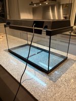Juwel Korallux 60 – Komplett-Aquarium mit LED & Bioflow Mini