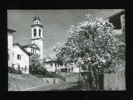 Pura, Malcantone