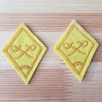 Kragenspiegel Schweizer Armee / Aufklärungssoldat