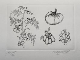 #10 - Gravure sur velin d'Arches signée G. Gallard 10/15 HC