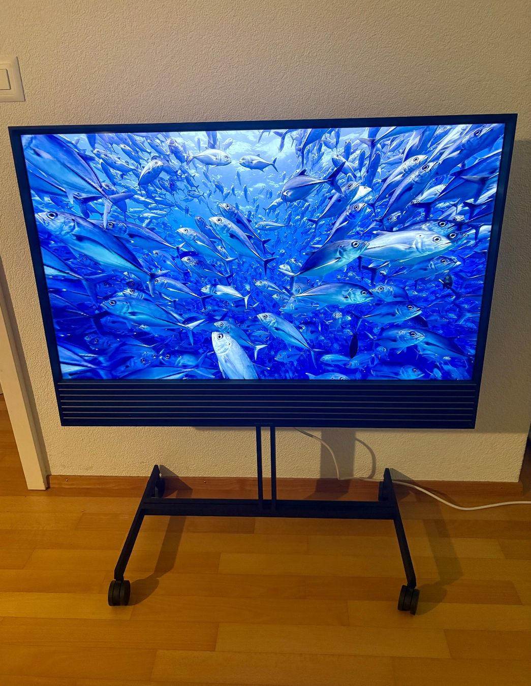 Bang & Olufsen Fernseher: Beovision Horizon 40 – Gebraucht aus Muri b. Bern von Lionking3