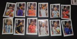 🔥 Alle 12 Coca Cola Panini Sticker - Komplettes Set