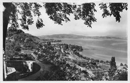 Zürichsee – Panorama vom Hang aus