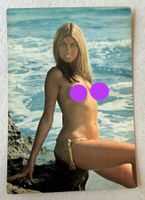🟡EROTIK Foto Akt Amateur Modell Nackt 60er 70er VINTAGE