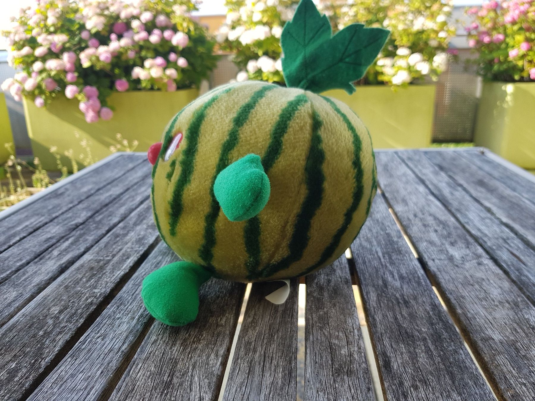 Spielzeuge: Plüschmelone – Gebraucht aus Jona von dampfnuggi 1