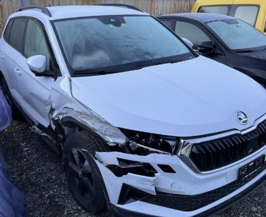 Skoda Automobili: Skoda Karoq 2.0 TDI – Usato da Rosshaussern venduto da Marcelka28 7