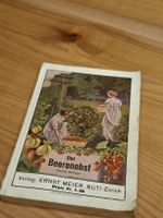 Proschüre Das Beerenobst Ernst Meier 1900 Gartenbaugeschäft