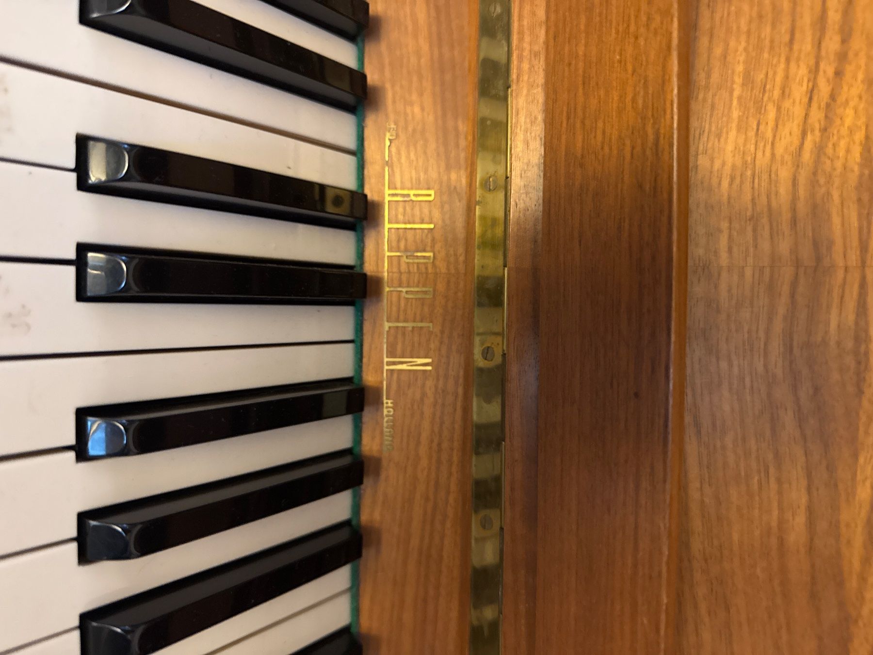 Strumenti musicali: Rippen Klavier – Usato da Bern venduto da Y.h. 6