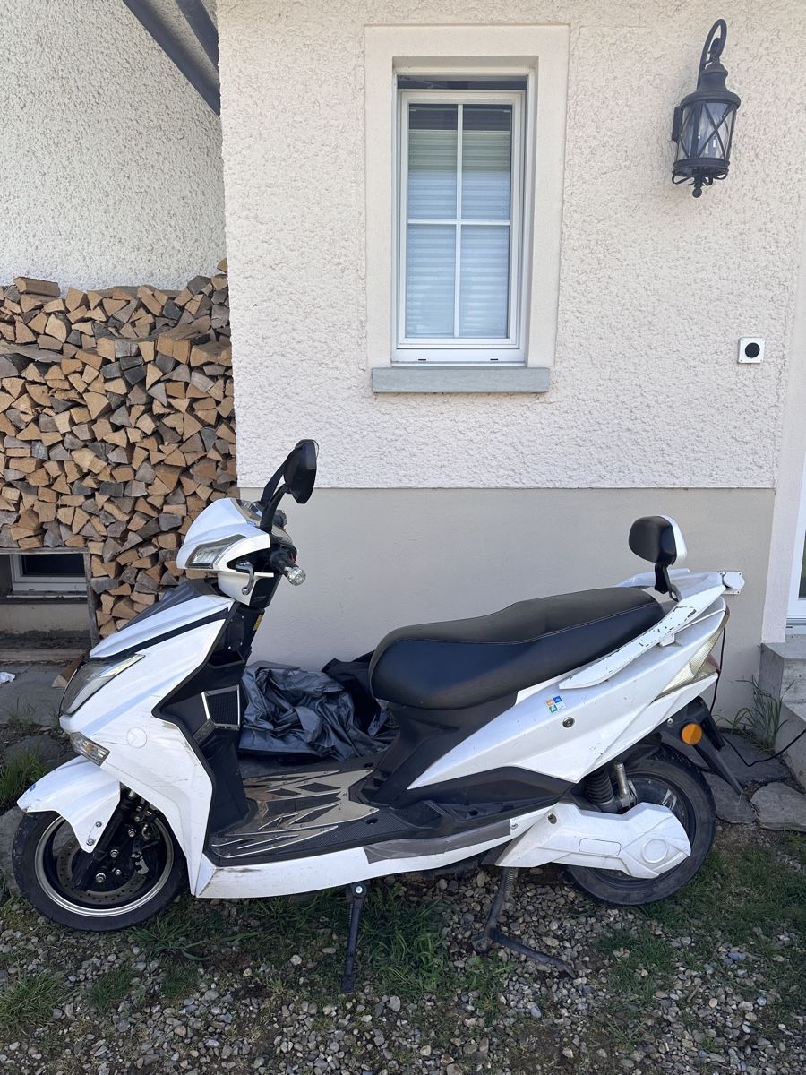 Strada: Stylischer E-Scooter (2 Plätzer) – Difettoso da Ittigen venduto da Top-Markenartikel