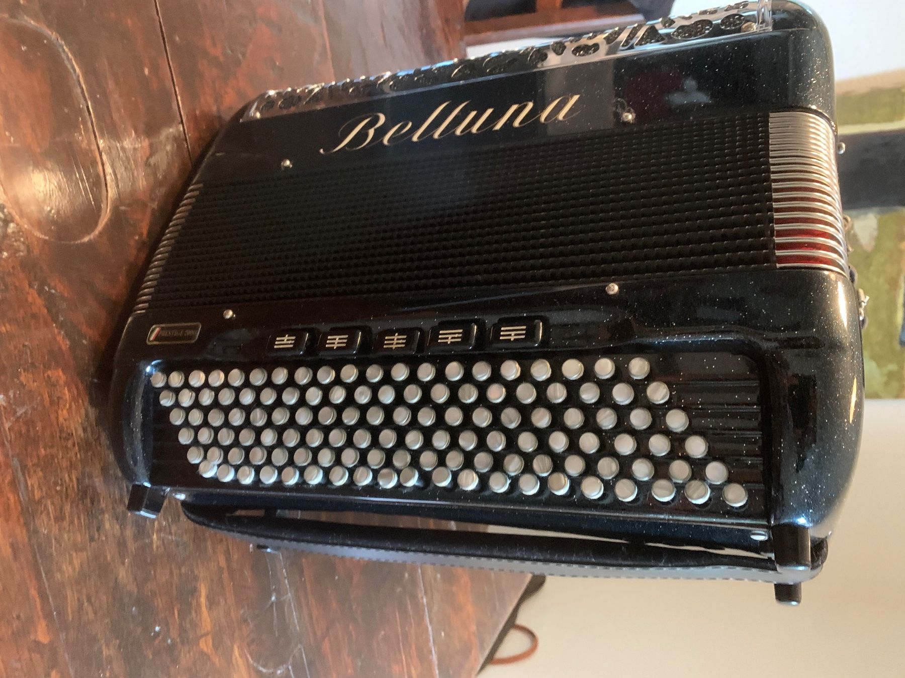 Beltuna Strumenti musicali: Accordéon Beltuna Prestige 2000 – Usato da Gland venduto da visiped 7