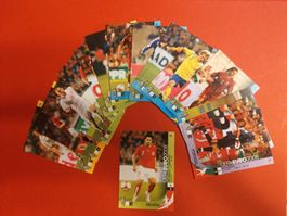 Panini Official Trading Cards - Euro2008