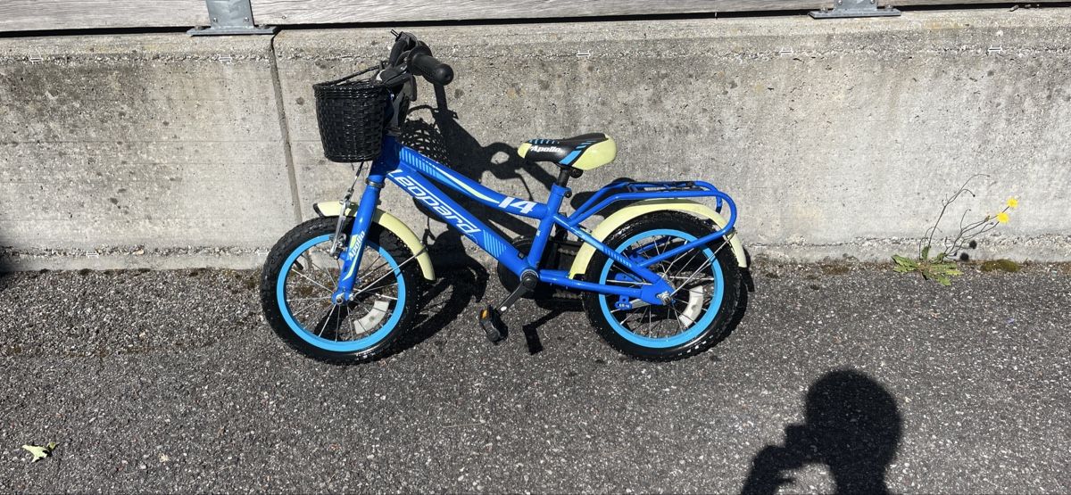 Leopard Biciclette: Bicicletta per bambini blu Leopard 14 pollici, perfetta per  – Nuovo (secondo la descrizione) da Brissago venduto da jmm_65pl