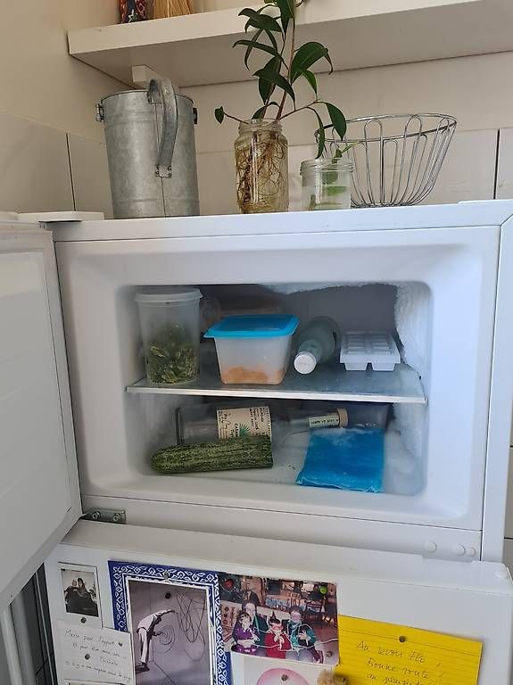 Frigoriferi: Frigo Electrolux – Usato da Genève venduto da ate_9hnh 2