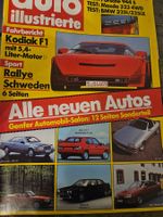 AI 3/87 Monteverdi Hai 325 iX Kodiak 944 S Terrano 75 V6 xx