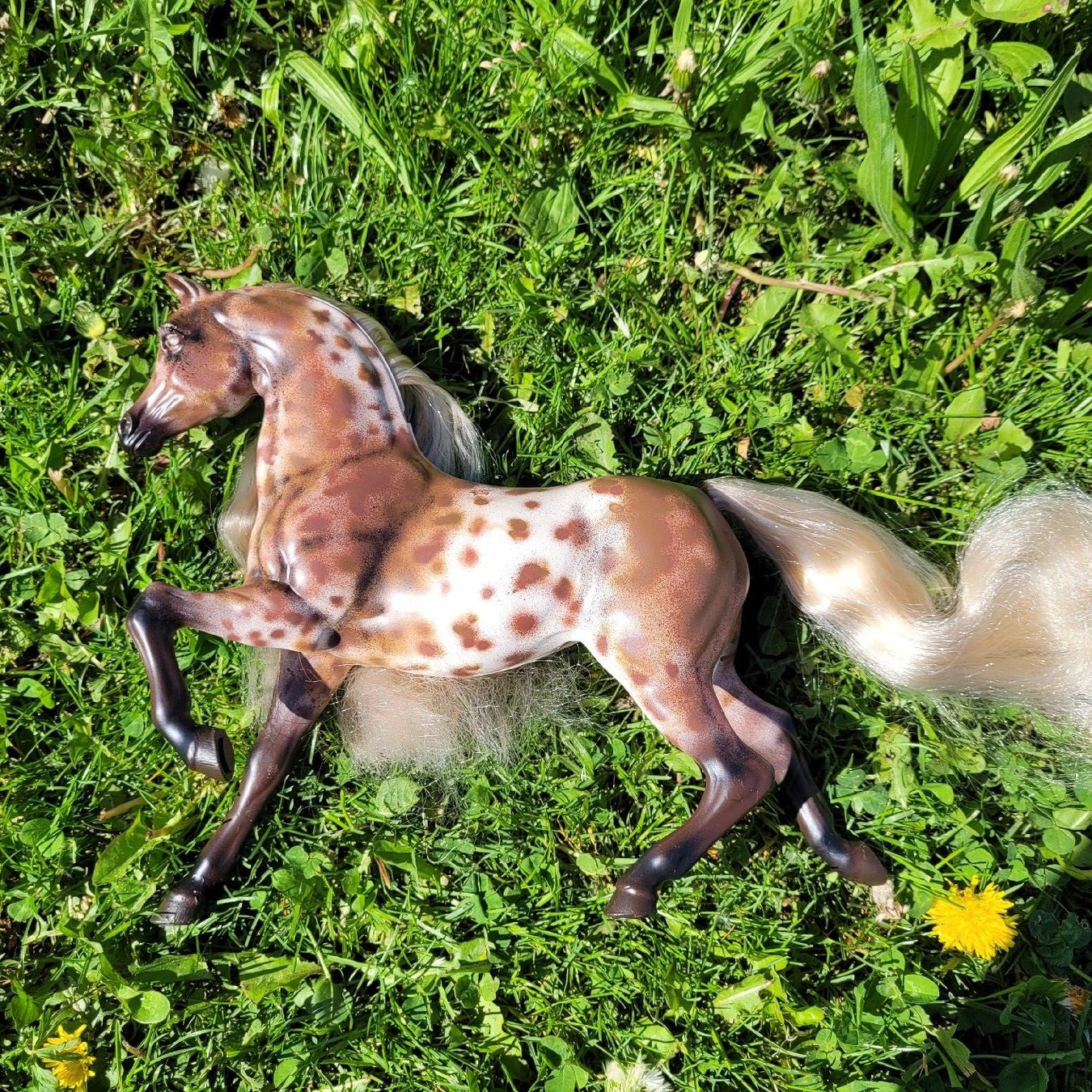 Giocattoli: Barbie Pferd Savanna Repaint/Unikat – Usato da Niederbuchsiten venduto da klengyel 8