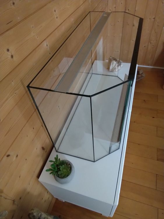 Terrarium aus Glas Kaufen auf Ricardo