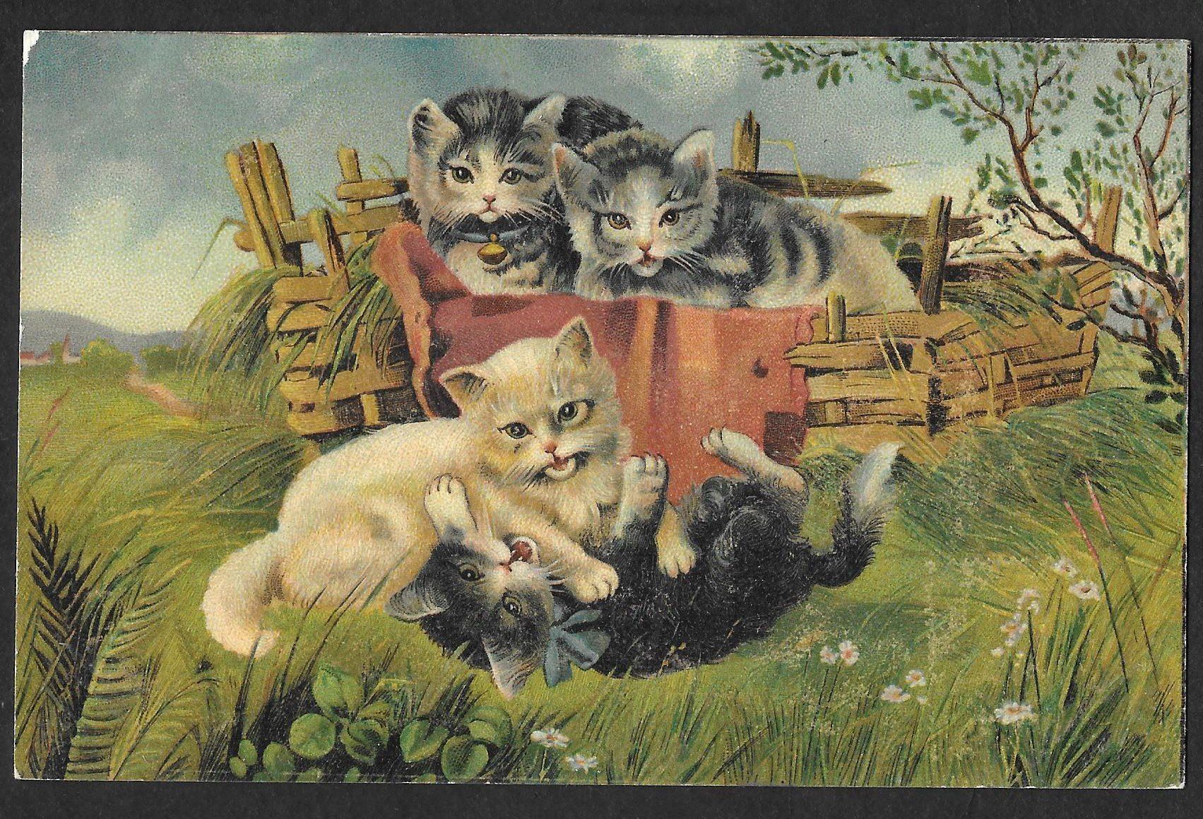 Cartoline postali: Katzenkarte spielende Katzen – Usato da Olten venduto da clotaldi