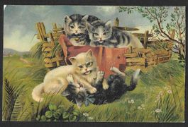 Katzenkarte spielende Katzen