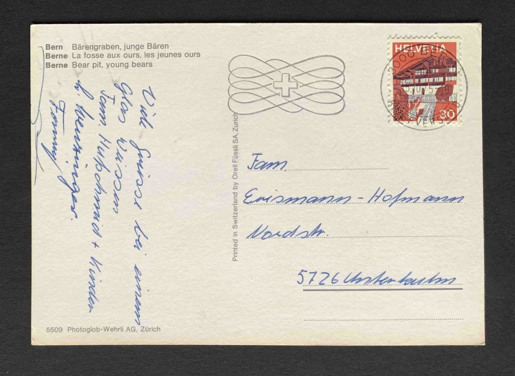 Cartoline postali: AK Bern Bärengraben junge Bären – Usato da Goldau venduto da artelier1 1