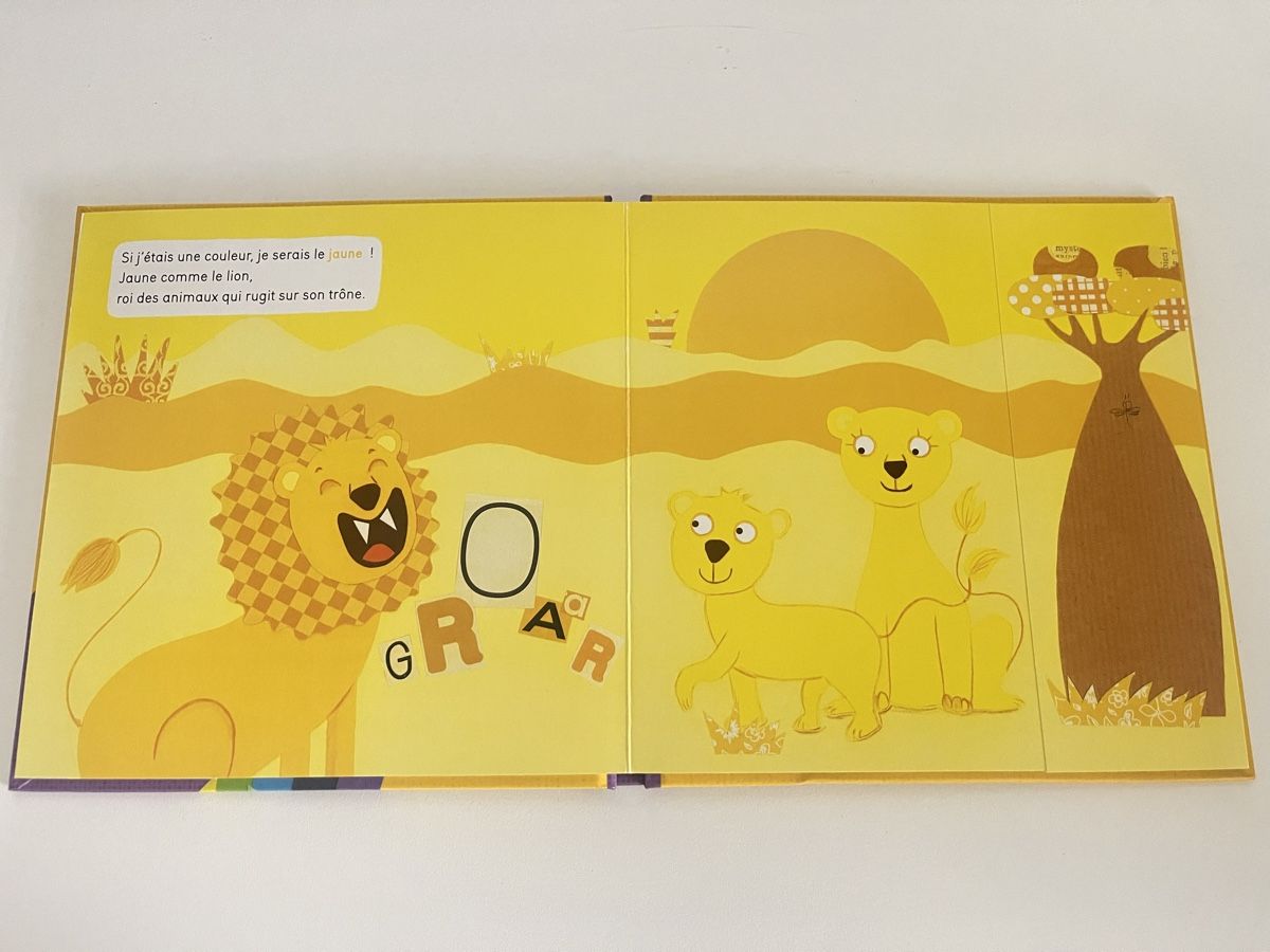 Libri: Les Couleurs – Usato da Malleray venduto da ste_rx2t 2