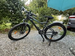 Zarena Street 2 „Bulls“ Mountainbike 