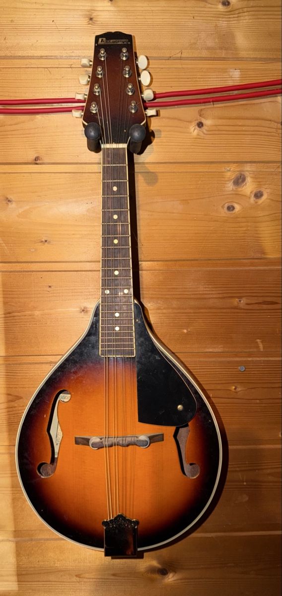 Strumenti musicali: Mandoline DiMavery acoustique – Usato da fey venduto da Caductilometre