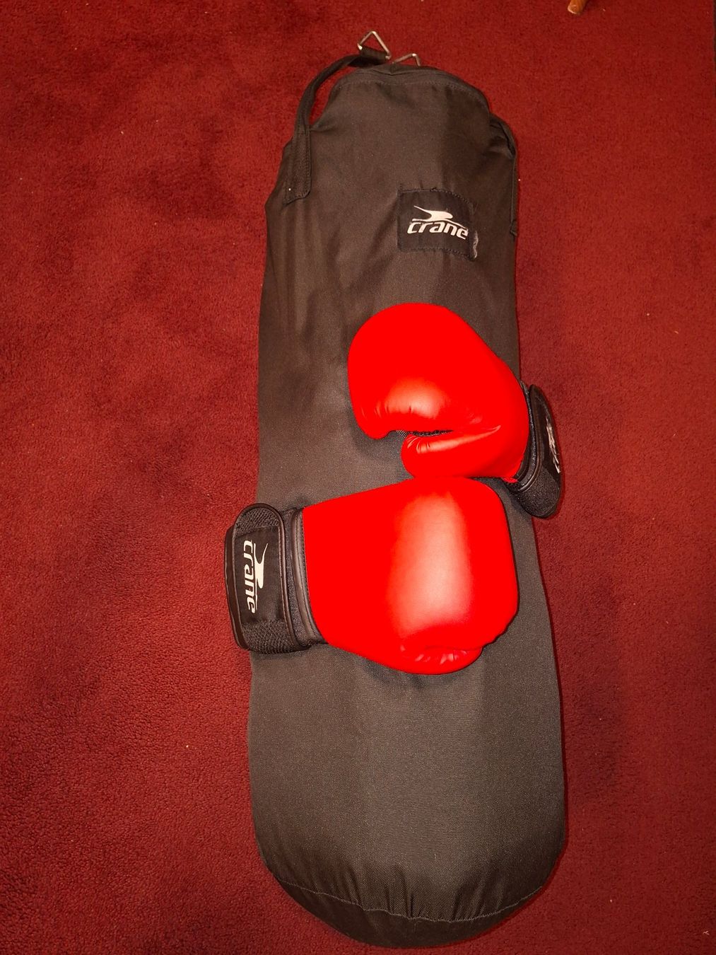 Sacs de frappe: Crane Boxsack mit Boxhandschuhe – D'occasion à Wetzikon ZH par Klotzfrosch 1
